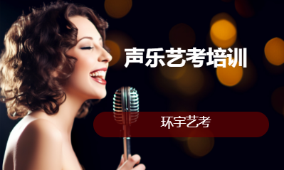 声乐艺考培训