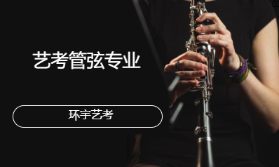 艺考管弦专业